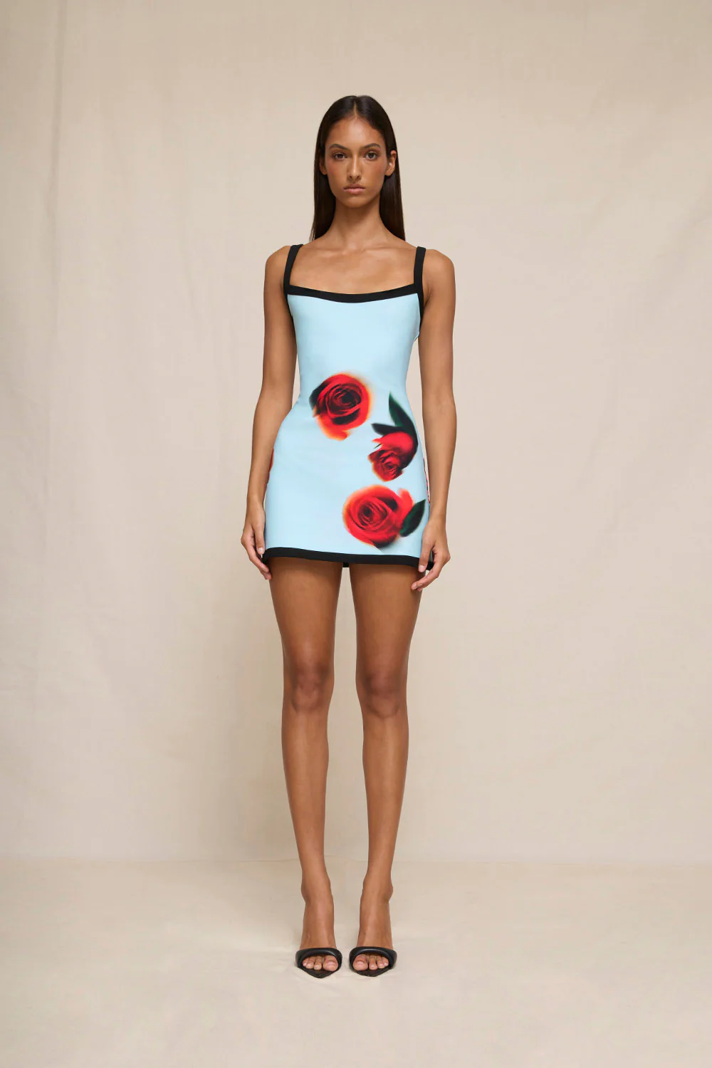 Sky Rose Mini Dress